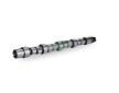 Vačkový hřídel Schaeffler INA 428 0231 10