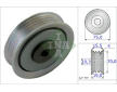 Napinaci kladka, zebrovany klinovy remen Schaeffler INA 531 0845 10