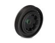 remenice, klikovy hridel Schaeffler INA 544 0101 10