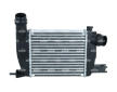 Chladič turba NRF 309161