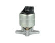AGR - Ventil NRF 48719