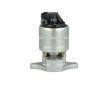 AGR - Ventil NRF 48719