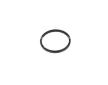 Termostat, chladivo NRF 725016