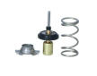 Termostat, chladivo NRF 725093