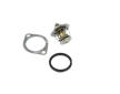 Termostat, chladivo NRF 725302