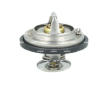 Termostat, chladivo NRF 725478