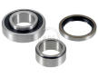 Sada ložisek kol A.B.S. 200244