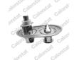 Termostat, chladivo CALORSTAT by Vernet TH7540.75.80J