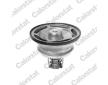 Termostat, chladivo CALORSTAT by Vernet THS18201.86