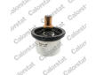Termostat, chladivo CALORSTAT by Vernet THS20007.85