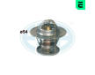 Termostat, chladivo ERA 350076
