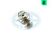 Termostat, chladivo ERA 350532
