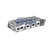 Hlava valcov motora FRECCIA CH17-1115