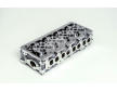 Hlava valcov motora AMC 908255