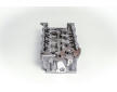 Hlava valcov motora AMC 908778