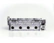 Hlava valcov motora AMC 908778