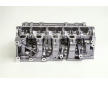 Hlava valcov motora AMC 908789