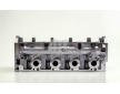 Hlava valcov motora AMC 908789