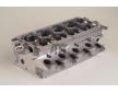 Hlava valcov motora AMC 908801