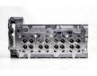 Hlava valcov motora AMC 910546K