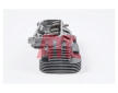 Hlava valcov motora AMC 910689