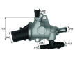 Termostat, chladivo MAHLE TI 142 83