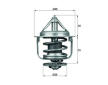 Termostat, chladivo MAHLE TX 87 77D