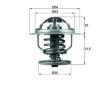 Termostat, chladivo MAHLE TX 109 87D