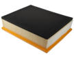Vzduchový filter MAHLE LX 538