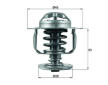 Termostat, chladivo MAHLE TX 110 82D