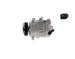 Kompresor, klimatizace MAHLE ACP 544 000S