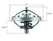 Termostat, chladivo MAHLE TX 125 80