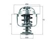 Termostat, chladivo MAHLE ORIGINAL TX 197 71D