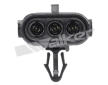 Lambda sonda WALKER PRODUCTS 250-23003