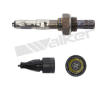 Lambda sonda WALKER PRODUCTS 250-24021