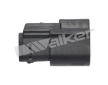 Lambda sonda WALKER PRODUCTS 250-241023