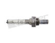 Lambda sonda WALKER PRODUCTS 250-24147