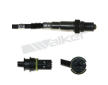 Lambda sonda WALKER PRODUCTS 250-24468
