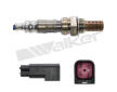 Lambda sonda WALKER PRODUCTS 250-24552