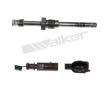 Cidlo, teplota vyfukovych plynu WALKER PRODUCTS 273-20141