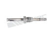 Cidlo, teplota vyfukovych plynu WALKER PRODUCTS 273-20260