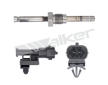 Cidlo, teplota vyfukovych plynu WALKER PRODUCTS 273-20260