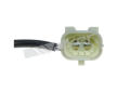 Cidlo, teplota vyfukovych plynu WALKER PRODUCTS 273-20463