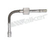 Cidlo, teplota vyfukovych plynu WALKER PRODUCTS 273-20776