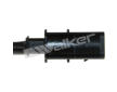 Lambda sonda WALKER PRODUCTS 350-35037