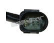 Lambda sonda WALKER PRODUCTS 350-35037