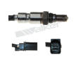 Lambda sonda WALKER PRODUCTS 800-95022