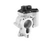 AGR-Ventil BorgWarner 710939D
