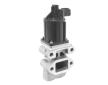AGR-Ventil BorgWarner 710964D