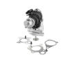AGR-Ventil BorgWarner 710980D